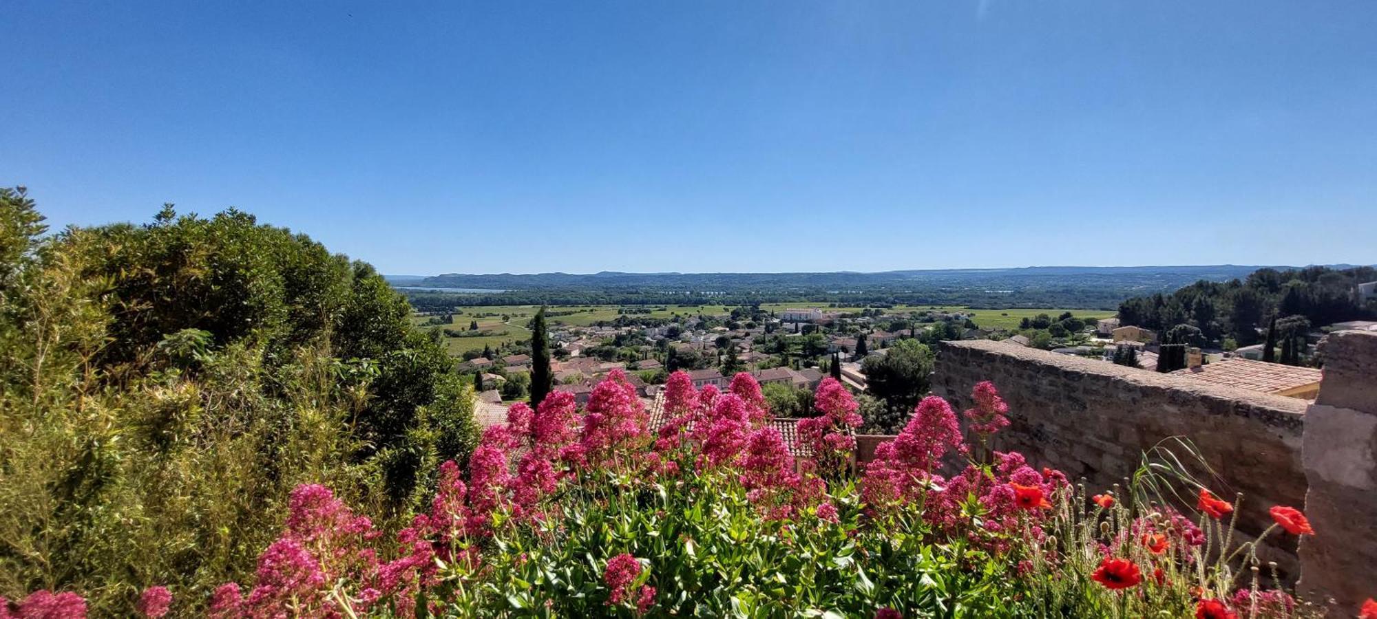 Gite De L'Olivier, Classe, Climatise, Jardin Avec Parking Gratuit Devant Le Logement Et A 5 Minutes Du Centre-Ville A Pied LʼIsle-sur-la-Sorgue Εξωτερικό φωτογραφία